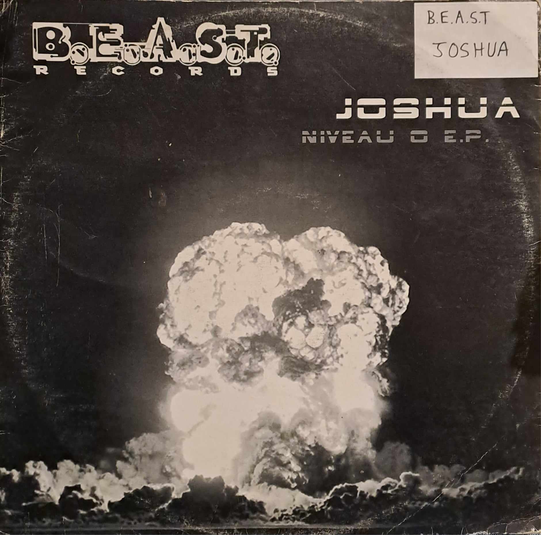 B.E.A.S.T. 15 - vinyle hardcore